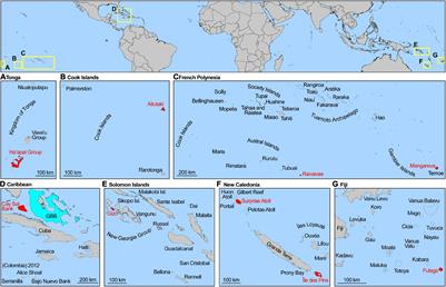 The Prospect of Global Coral Reef Bathymetry by Combining Ice, Cloud, and Land Elevation Satellite-2 Altimetry With Multispectral Satellite Imagery